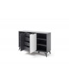 Komoda Netanja 2D4S/CM
